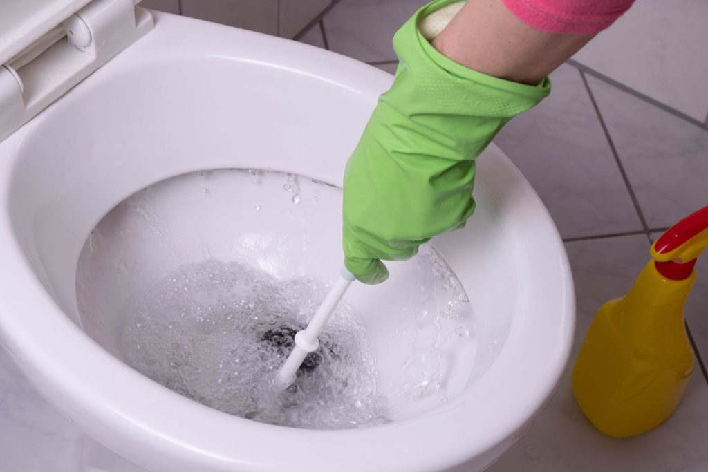 clogged toilet